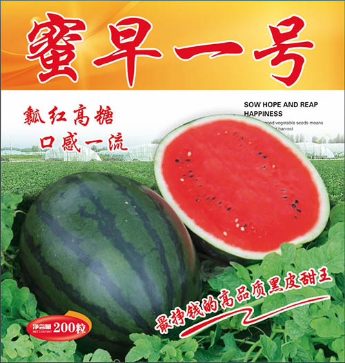 蜜早一號(hào) 蜜早一號(hào)